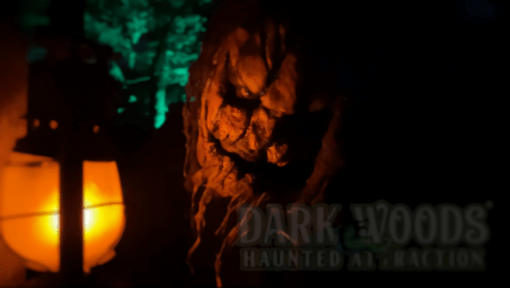 Dead Fall Trails at Dark Woods Haunted Attraction